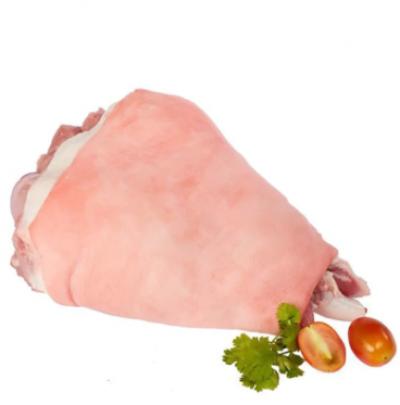 Bắp Chân Trước Tican (mã cân)