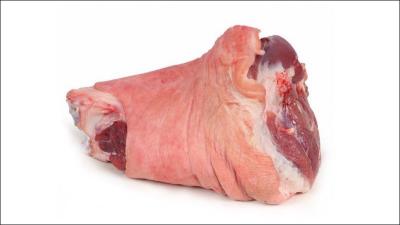 Bắp giò heo trước palmali