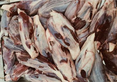 Bắp hoa Zubiza - MS 60