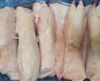 Chân heo sau đông lạnh nhập khẩu Áo