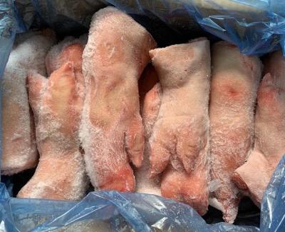 Chân heo trước đông lạnh Skiba nhập khẩu Ba Lan