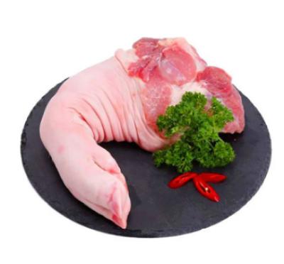 Chân Trước Nguyên Tonies (19-21kg)