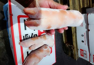 Dựng trước Toni