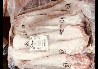 Đuôi Allana - MS 57