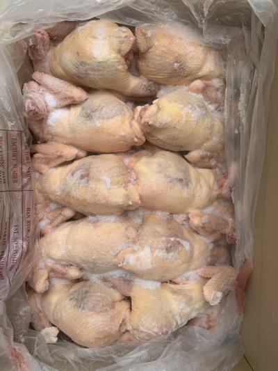 Gà nguyên con Hanryeo 12 con, 10 con