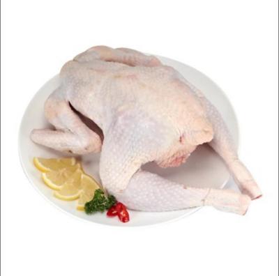 Hanryeo 12 Con Size LM (15-16.5kg)