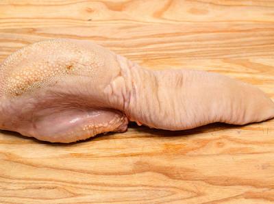 Lưỡi trâu mã 86