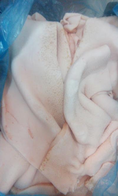 Mỡ lưng heo ( Back fat)