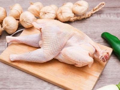 Singreen 12 Con Size LM (15-16kg)