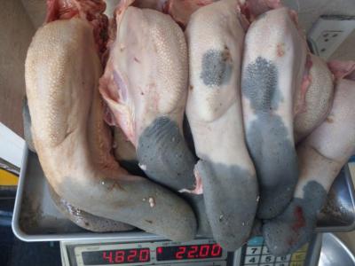 Thịt heo đông lạnh giá sỉ