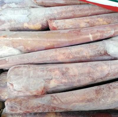 Trâu Ấn Độ M31